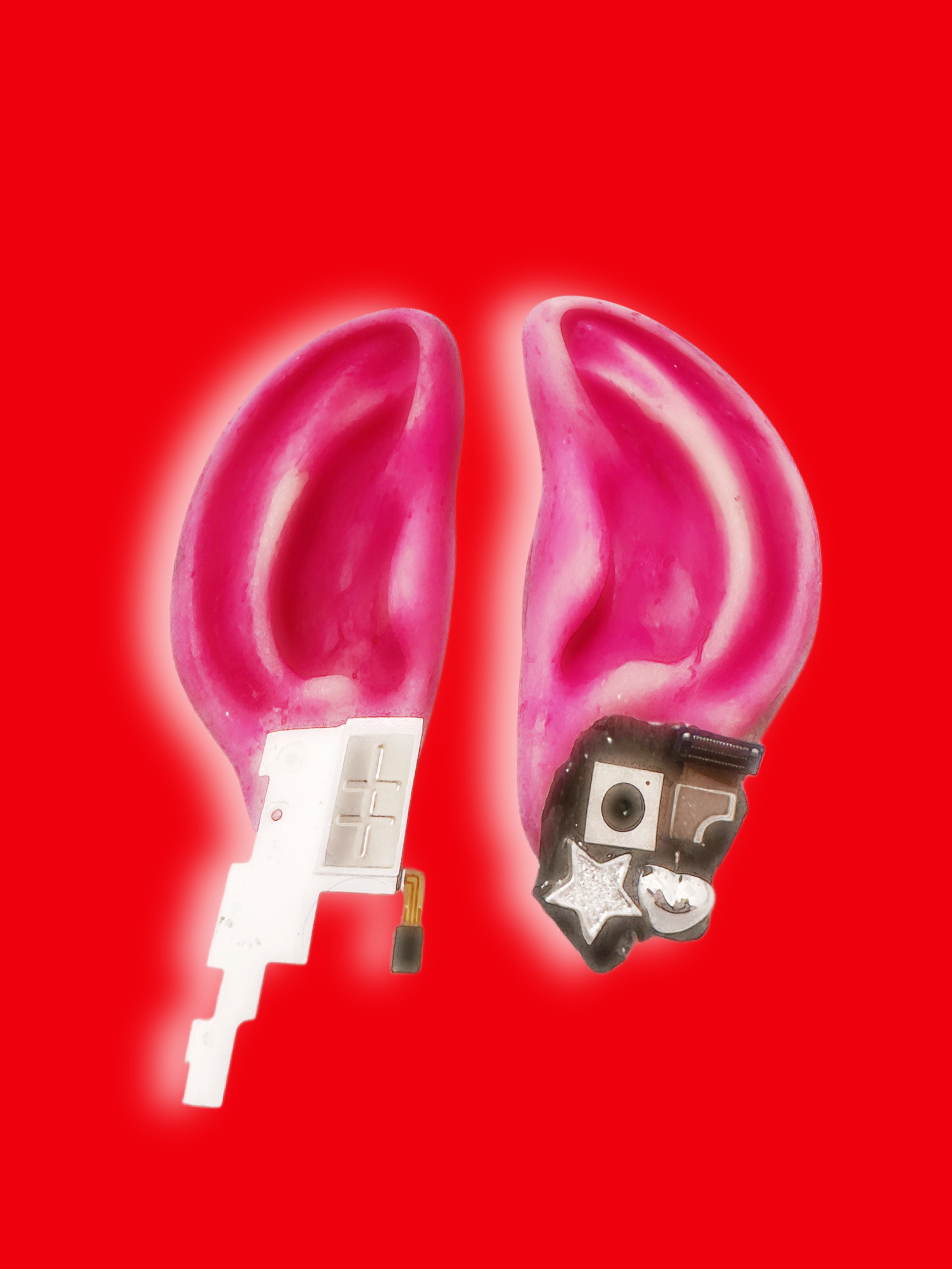 E-183-57*2 EARINGS